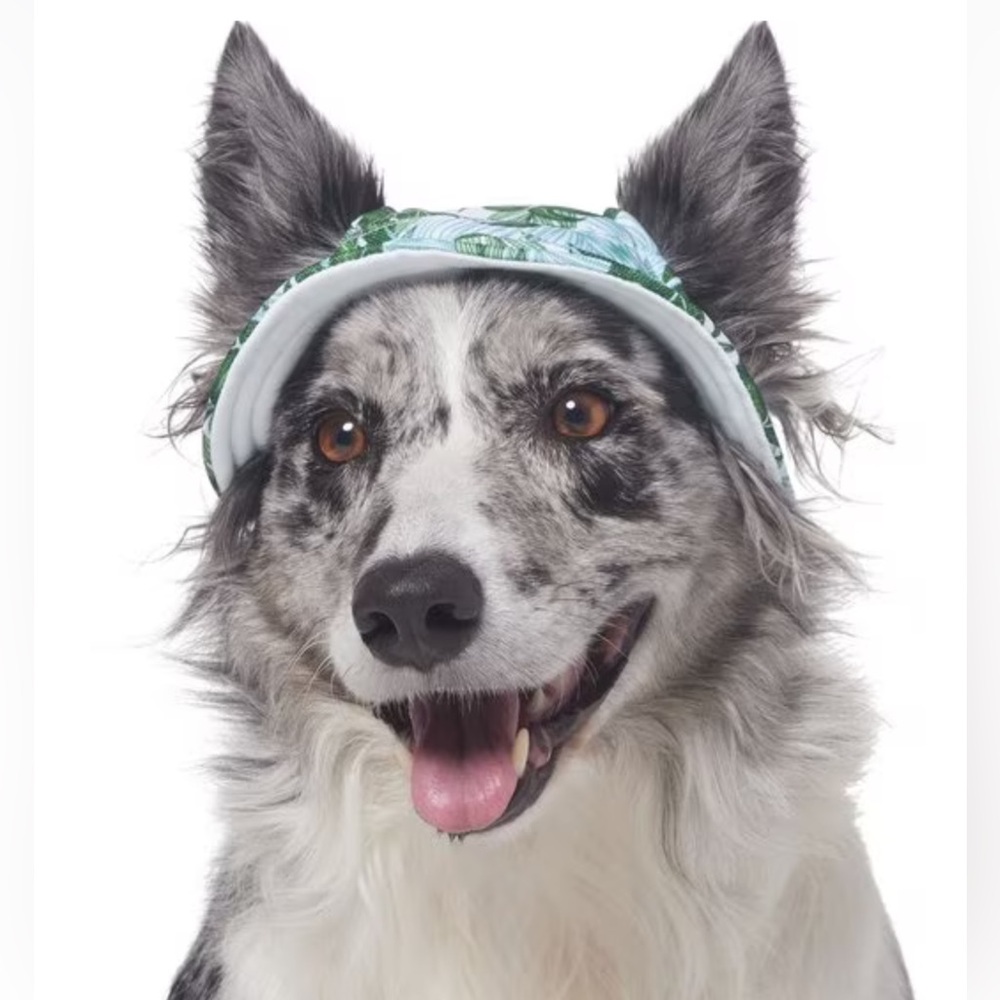 Fresco Dog & Cat Bucket Hat Palm Leaf Short Brimmed Medium/Large - Picture 1 of 11
